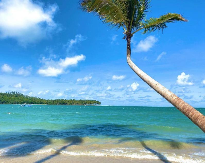 Flat Praia Dos Carneiros Eco Resort 26 Tamandaré 外观 照片